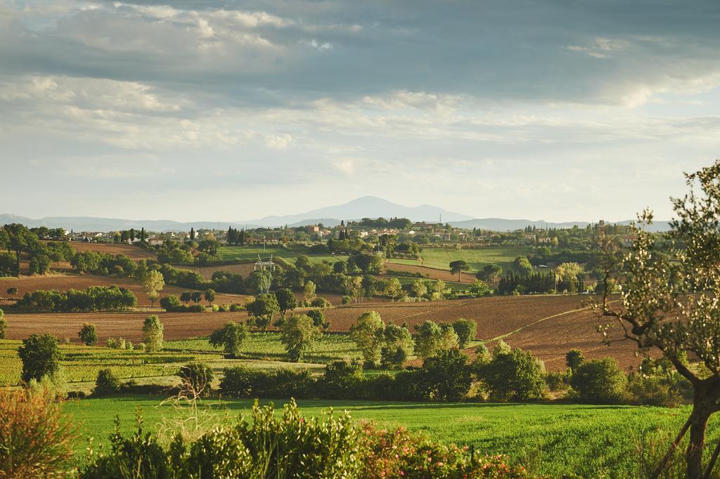 Casa Vacanze B&B Poggio Al Vento Toscana Foiano Della Chiana Exterior foto
